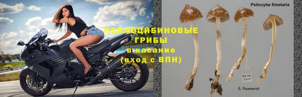 спайс Кинешма