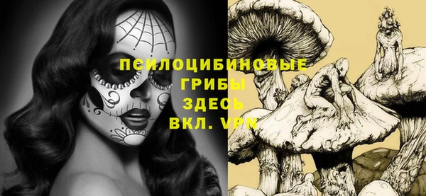 спайс Кинешма